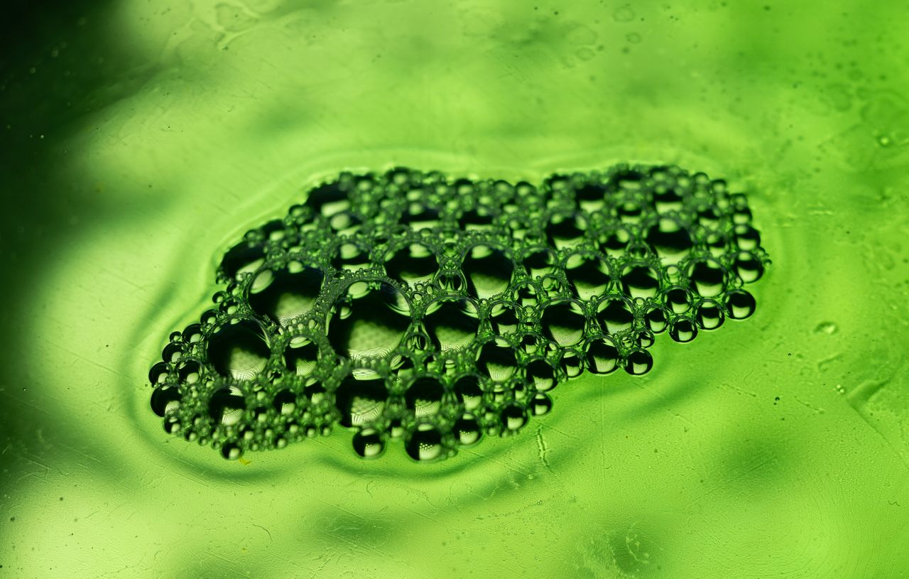 about-us Macro shot of water droplets forming a pattern on a green background, capturing texture and reflection.